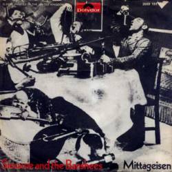 Siouxsie And The Banshees : Mittageisen